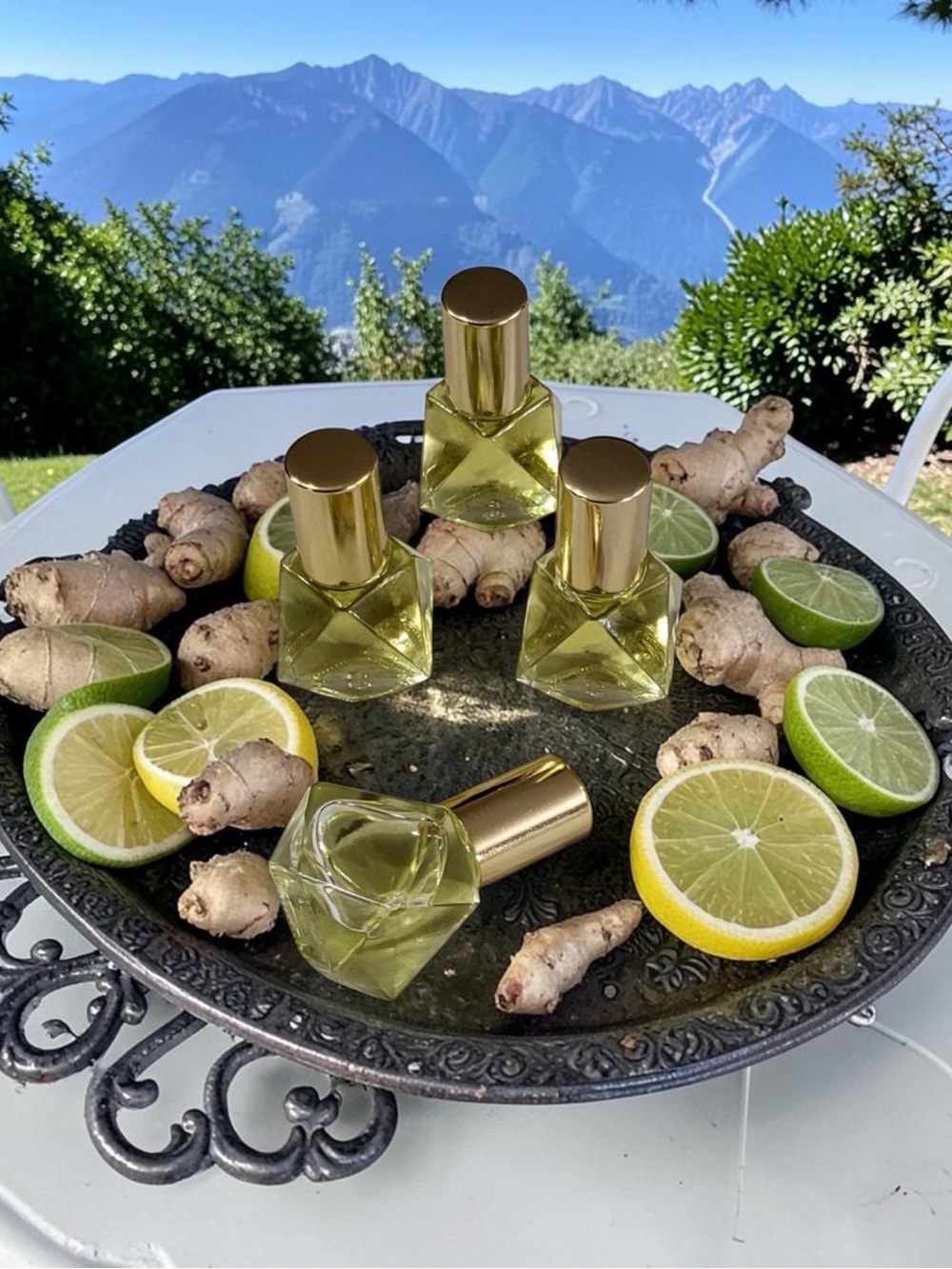 Orchid & Vine Aromatherapy Body Oil Scent Roller Luxury Beauty Citrus Bliss
